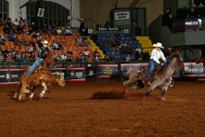 Martha Angelone spins a steer for jackie crawford