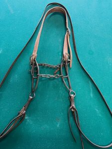 a heavy chain gag bit and headstall