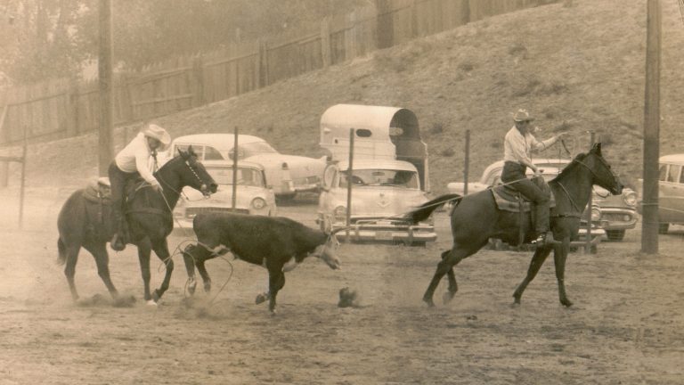 1929 World Champion team roper Charlie Maggini heels a steer for T-Bone Hall at the Oakdale (California) Saddle Club Rodeo.