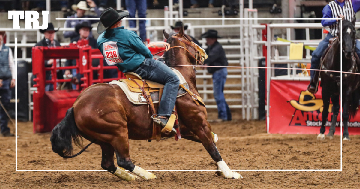 Levi Lord's Horse Birdie Has Been a Godsend