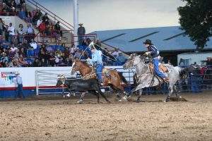 Team ropers Greeley Colorado