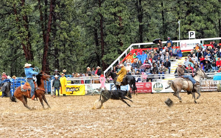 Turquoise Circuit header Corey Whinnery and Mountain States heeler Cole Cooper won the 2023 Elizabeth Stampede in Colorado.