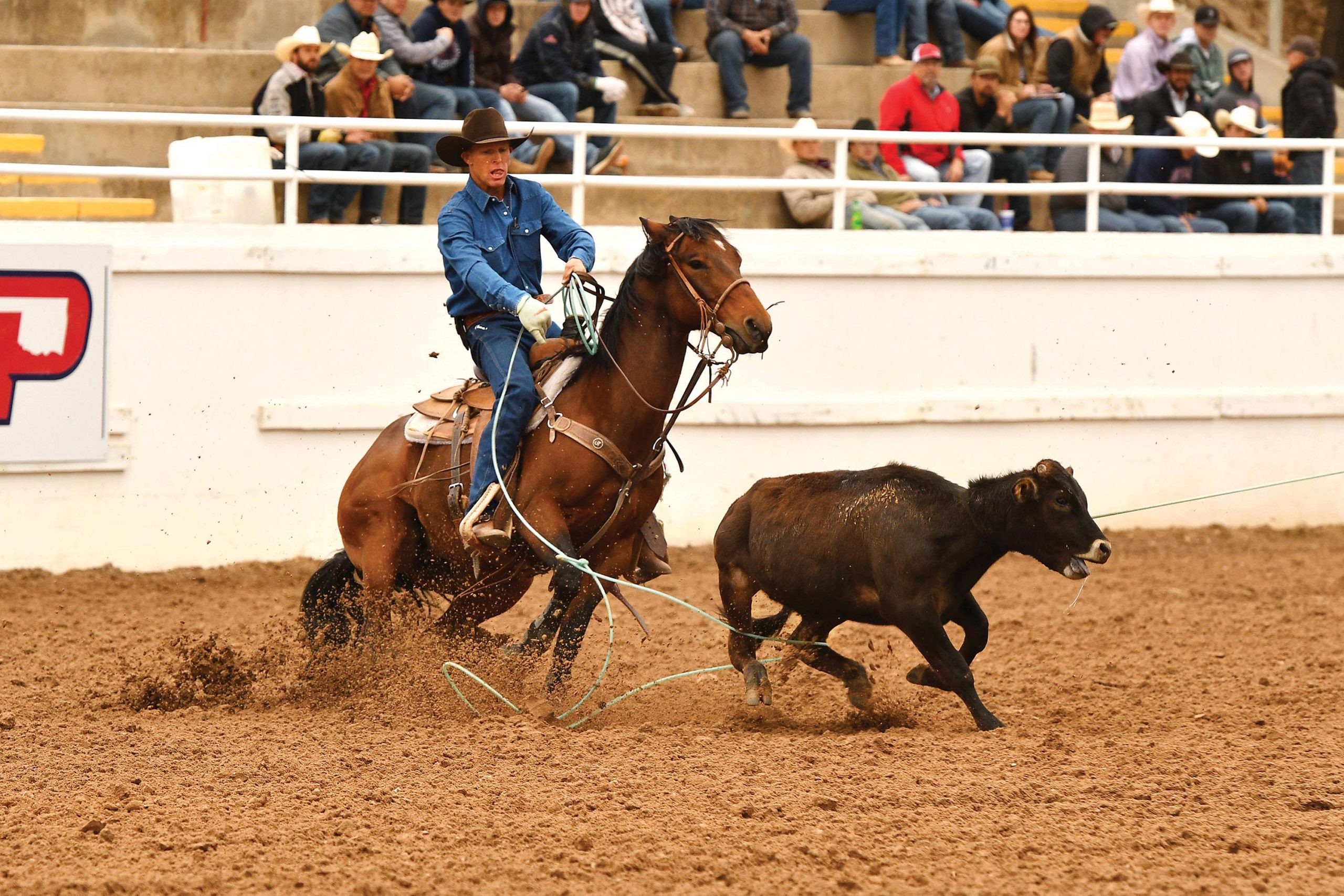 Colter Todd heeling on his bay horse Buddy, winning Guymon.