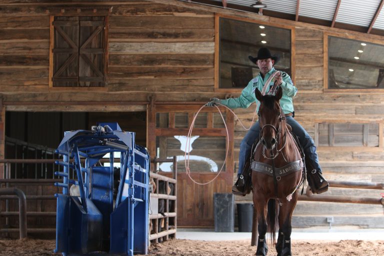 Nick Sartain swinging his rope in the header's box.