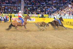 Slade Wood and Logan Moore roping their steer in the short round at the 2023 CNFR.