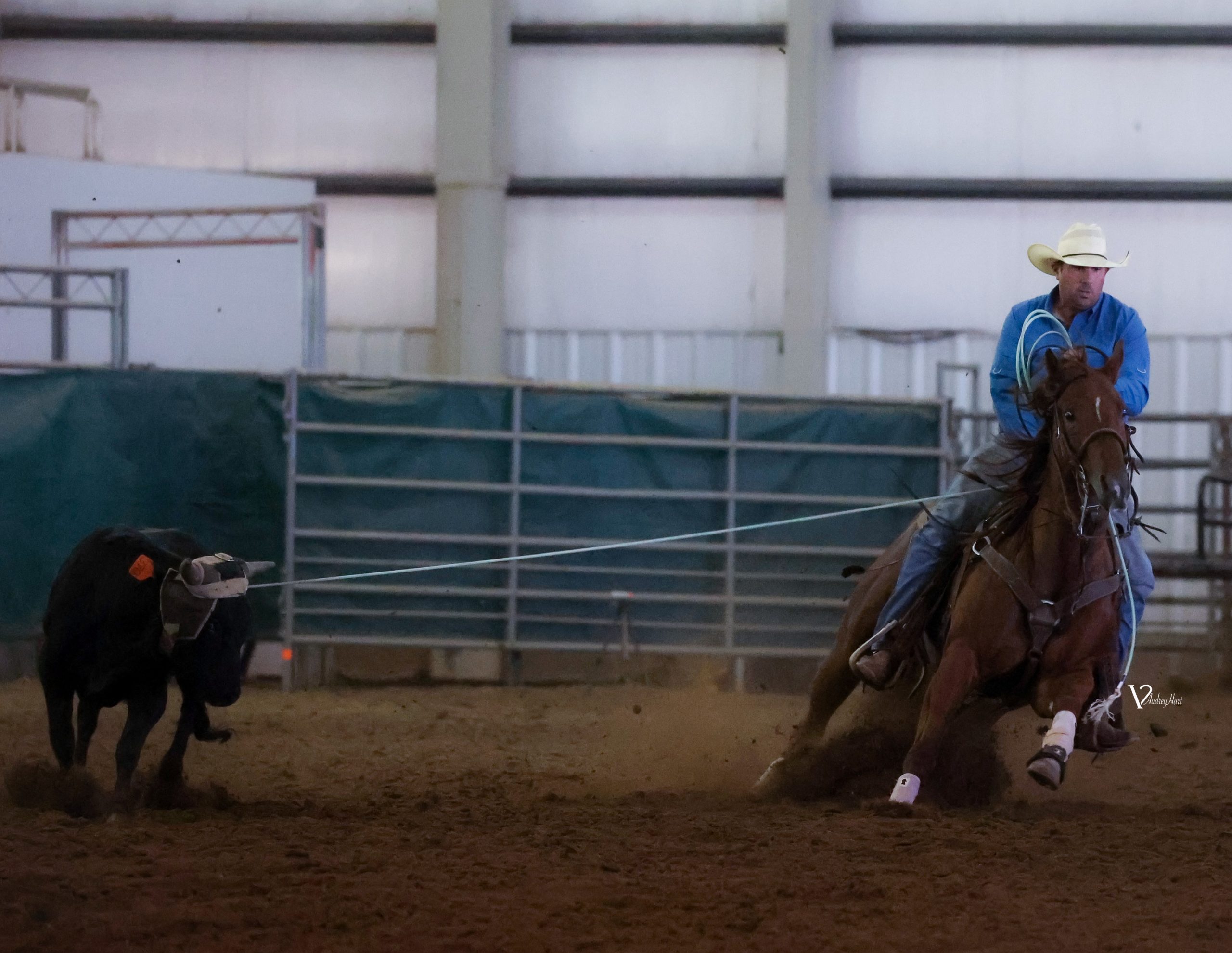 Jordan Allyn turning a steer on Karens Smart Shiner at the 2023 ARHFA Cornhusker Classic.