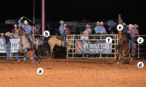 Clint Summers roping with Jake Long at Woodard Elks ProRodeo