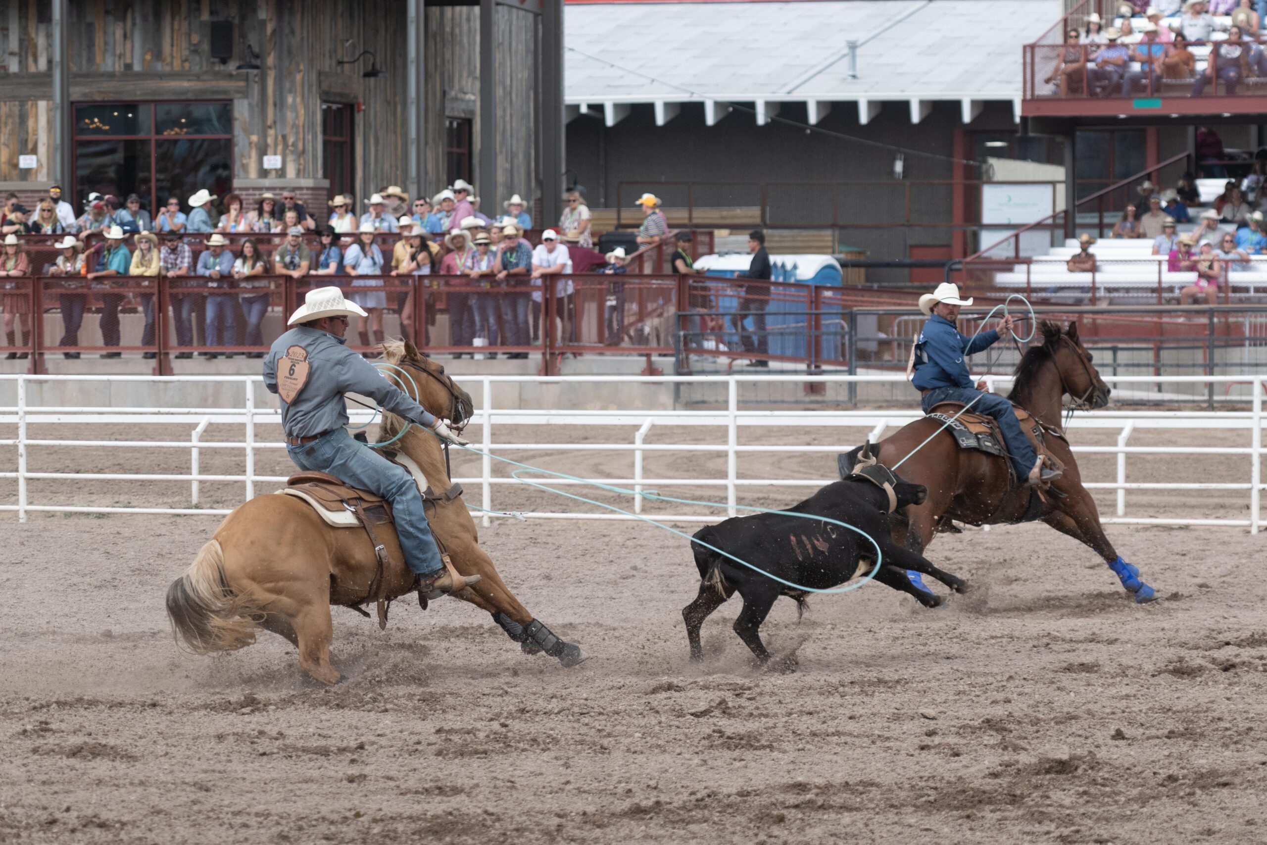 Team roping Cheyenne