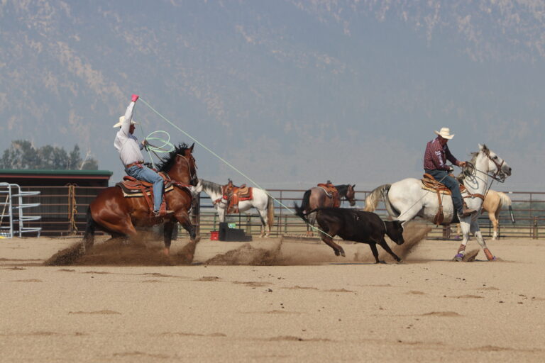 Jake Barnes and Clay O'Brien Cooper roping a steer.