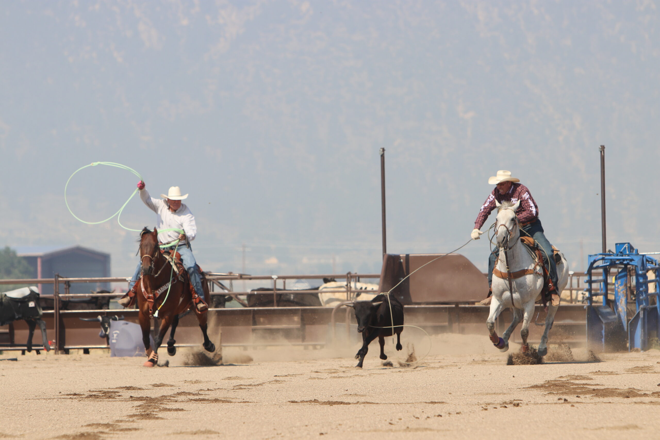 Jake Barnes heading a steer for Clay O'Brien Cooper.