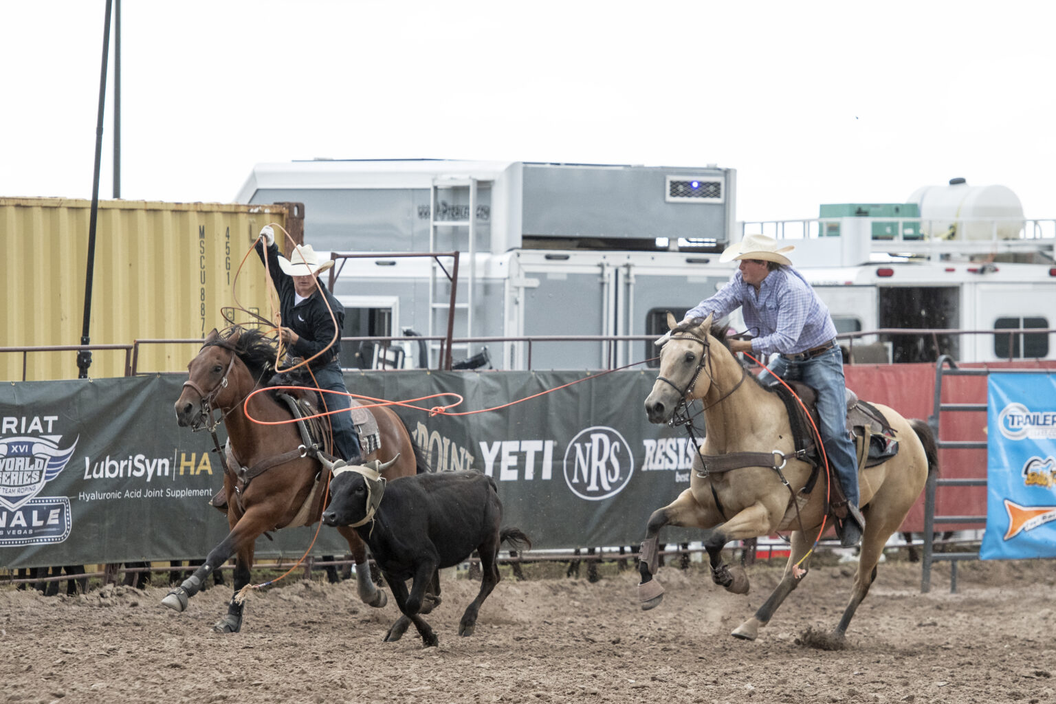 Ariat WSTR's The Daddy 2023 Results