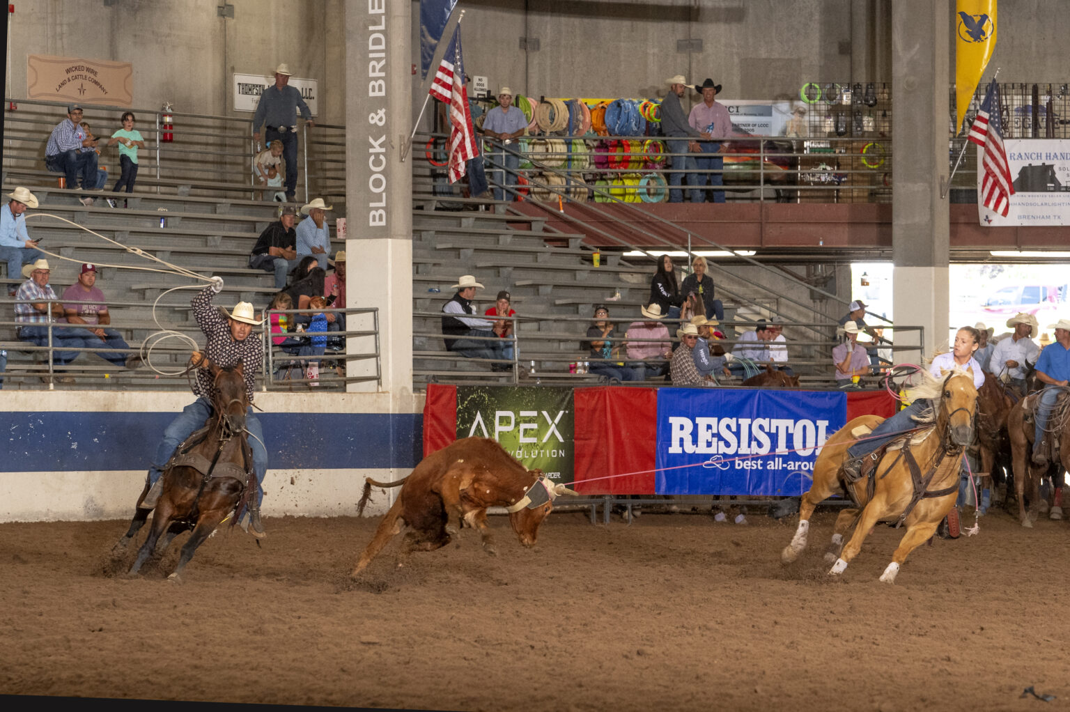 Ariat WSTR's The Daddy 2023 Results