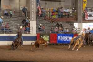 Megan Gunter and Cesar Ochoa roping at the 2023 The Daddy in Cheyenne.