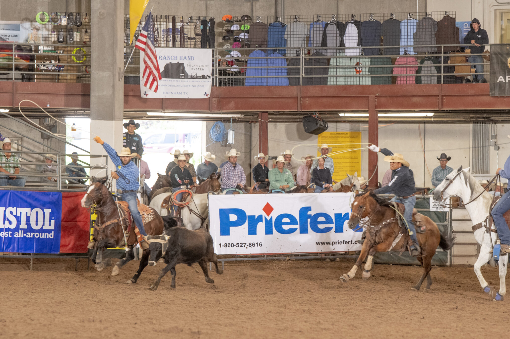 Ariat WSTR's The Daddy 2023 Results
