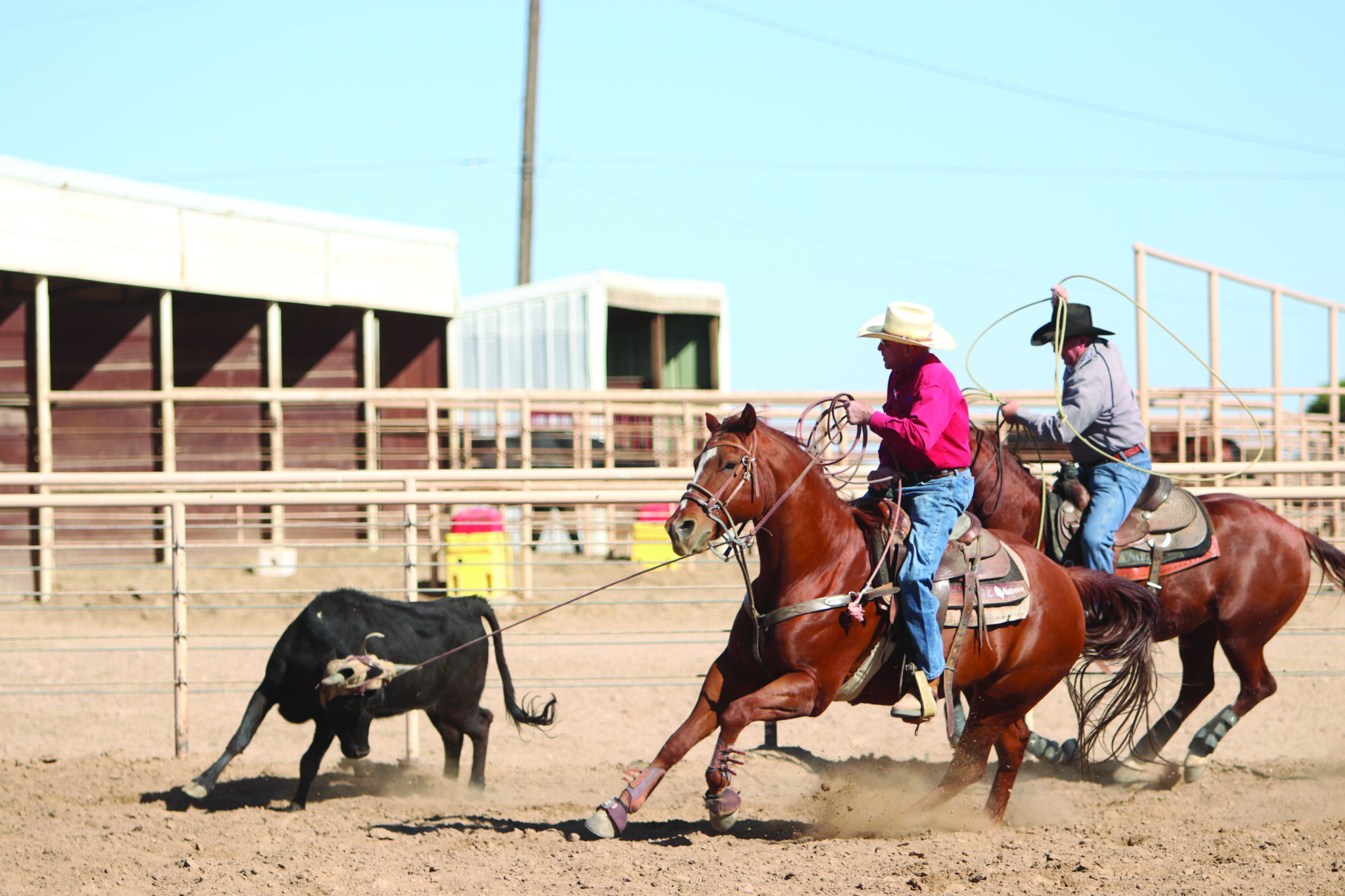 senior team roper heading in practice arena