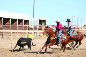 senior team roper heading in practice arena