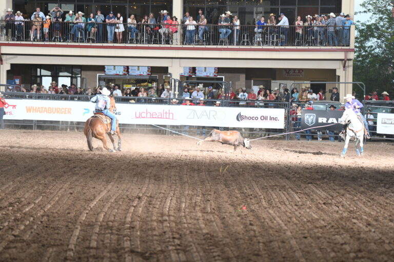 Nelson Wyatt and Tyler Worley facing on their steer.