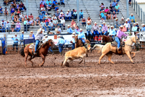 A team at the 2023 IFYR roping their steer.