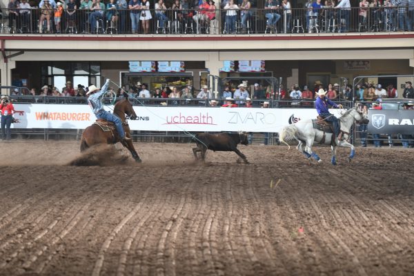 Nelson Wyatt and Tyler Worley roping their first steer at the 2023 NFR Open.