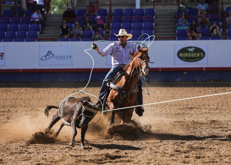 Billie Jack Saebens heeling at the 2023 Greeley Stampede.