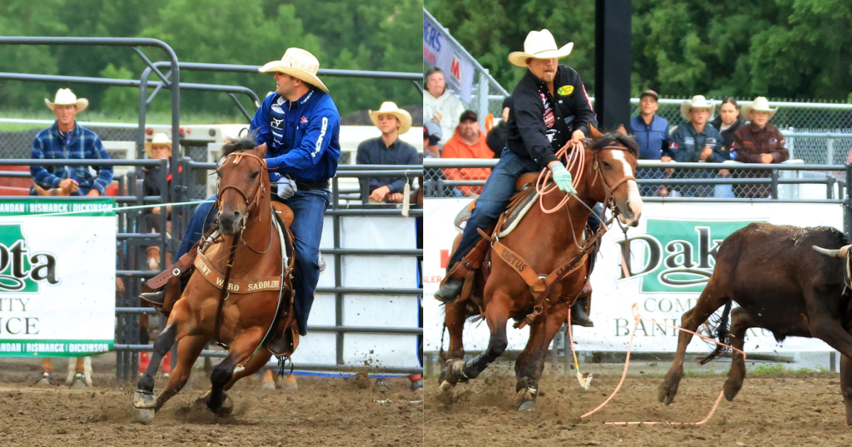 Dustin Egusquiza and Levi Lord roping a steer in Mandan, North Dakota, in 2023.