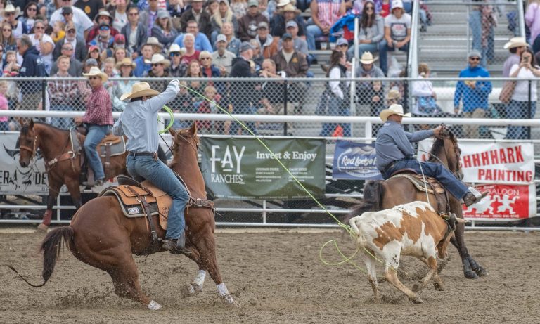 Brady Tryan and Calgary smith roping their steer at the 2023 Home of Champions Rodeo in Red Lodge, Montana.