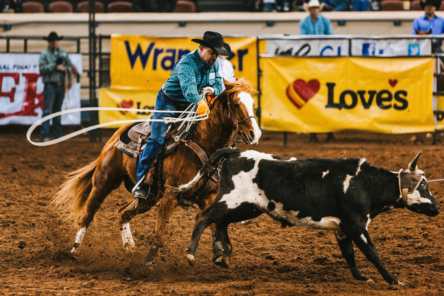 Beneath a Horse, Behind the Wheel with Stephen Britnell