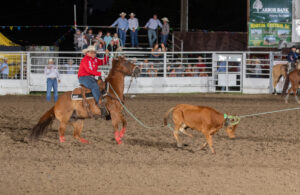 JR Gonzalez heeling a steer for Bubba Buckaloo in Sidney, Iowa, in 2023.