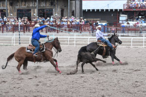 Bubba Buckaloo spins a steer for JR Gonzales at the 2023 Cheyenne Frontier Days