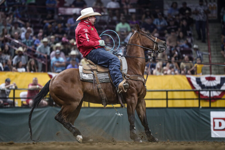 Wyatt Cox heeling a steer at the 2023 Snake River Stampede in Nampa, Idaho.