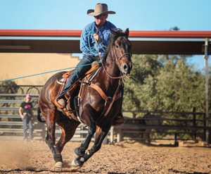 Trevor Brazile roping on a bay horse (Royal Crown Champion Step N Small Town).