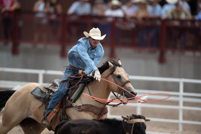 Corben Culley slings a head loop at the 2023 Cheyenne frontier days