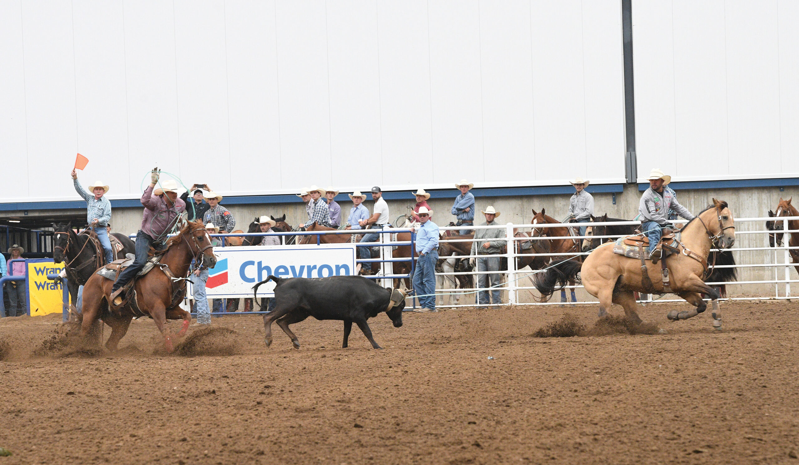 Luke Brown heading a steer for Hunter Koch in 2023.