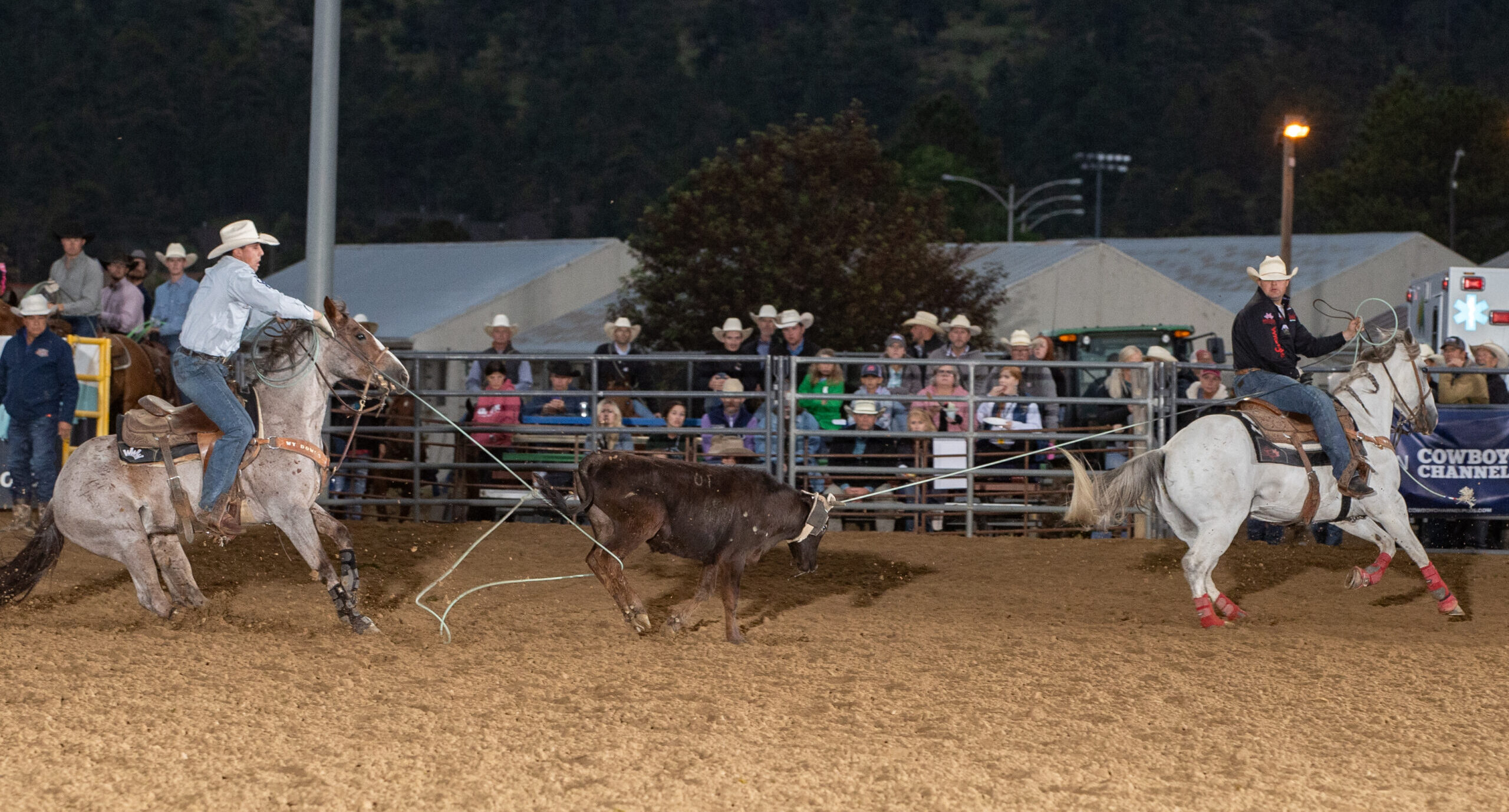 Kellan Johnson and Carson Johnson roping a steer at the 2023 Rooftop Rodeo in Estes Park, Colorado.