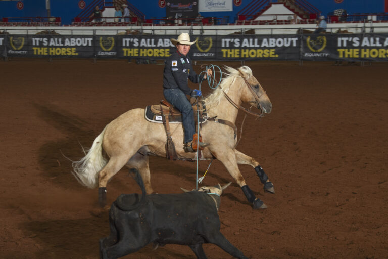 Trevor Brazile turns a steer on RR Buckles Clubhouse at the 2023 Platinum Medal Futurity