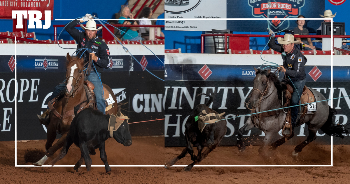 Platinum Medal Rope Horse Futurity Heeling Short Round Pedigree