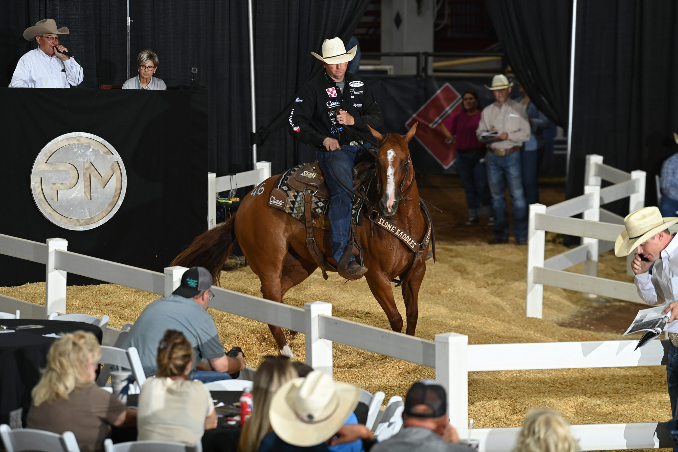 Platinum Medal Horse Sale