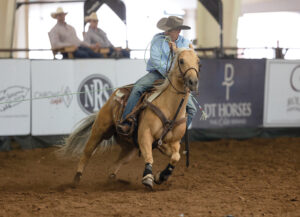Paul Bogart heading on a palomino horse