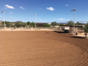 grromed outdoor arena