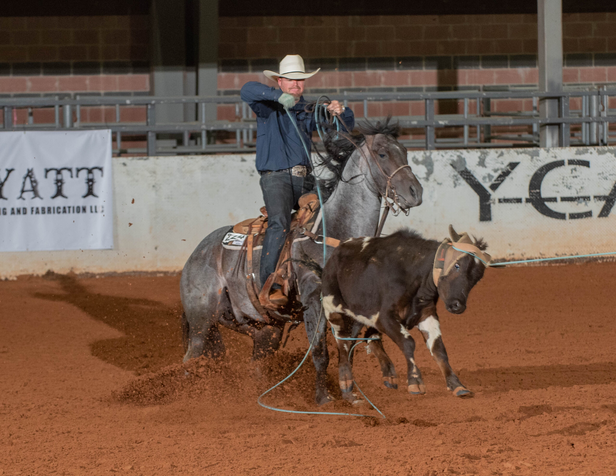 Miles Baker heeling a steer on The Darkk Side.