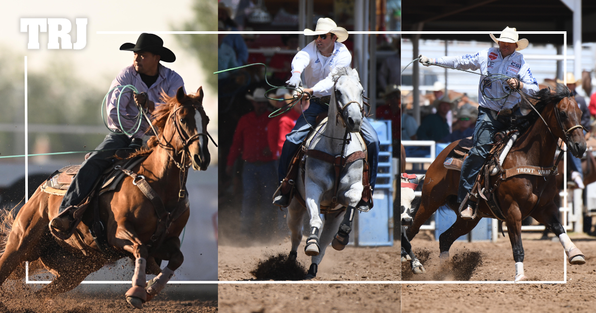 Who *Should Win the 2023 Head Horse of the Year Award? The Team Roping Journal