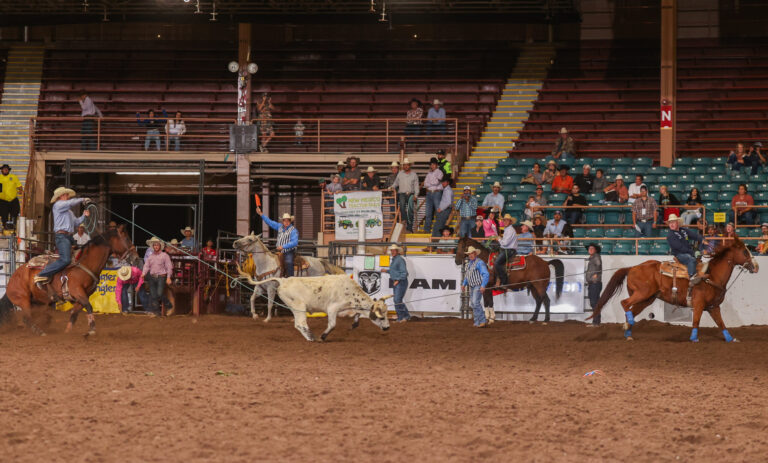 Chad Masters and Trey Yates roping their steer at the 2023 New Mexico State Fair & Rodeo in Albuquerque, New Mexico.