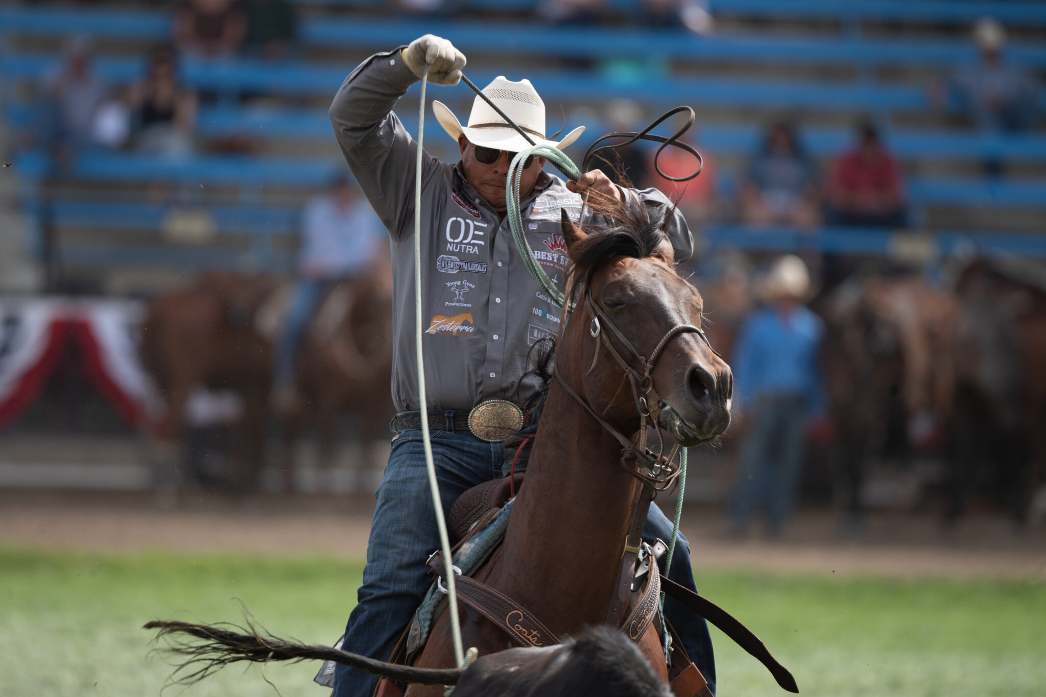 Jonathan Torres heeling a steer at the 2023 Pendleton Round-Up.