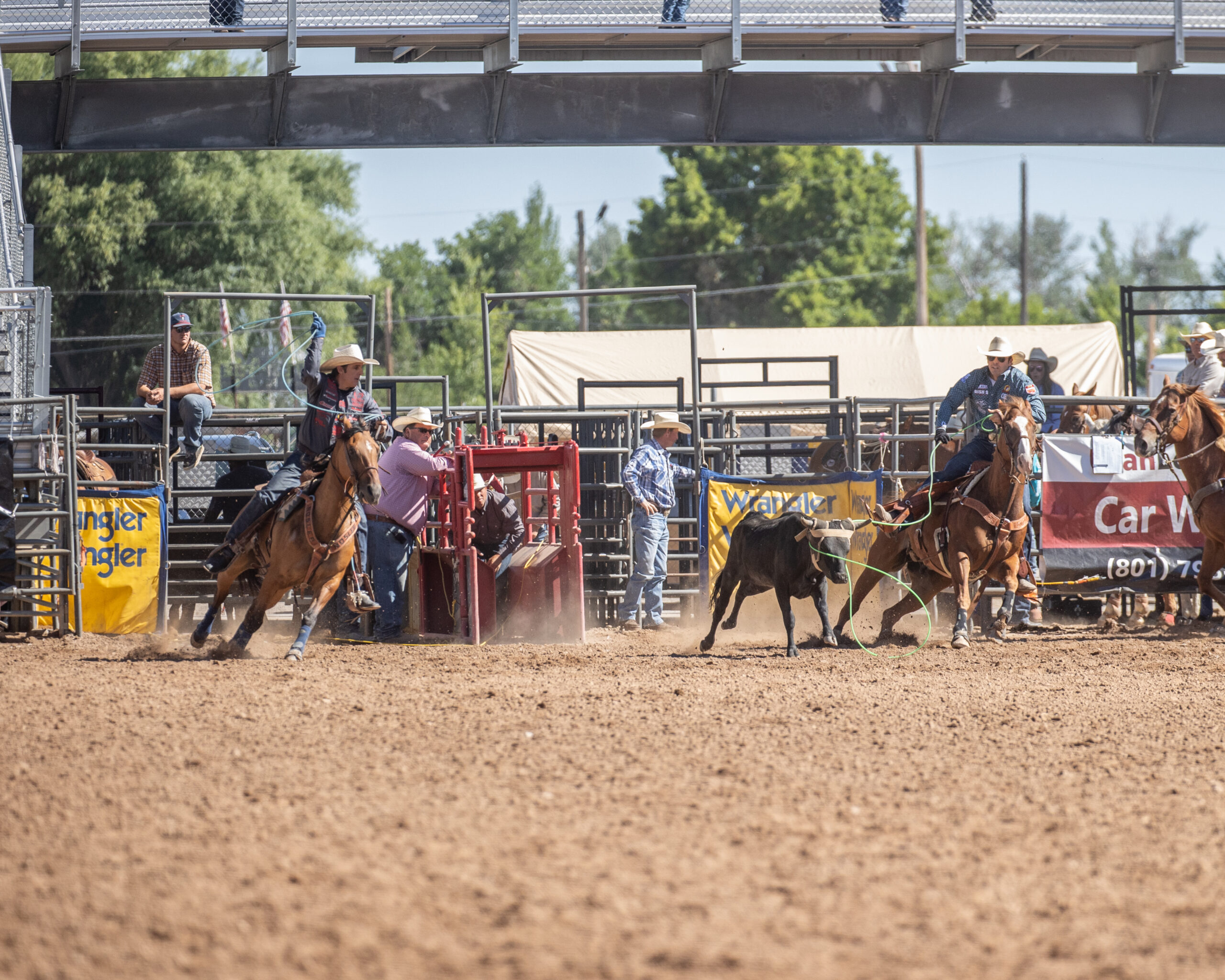 Tanner Tomlinson heading a steer for Patrick Smith to win the 2023 Ute Stampede in Nephi, Utah.