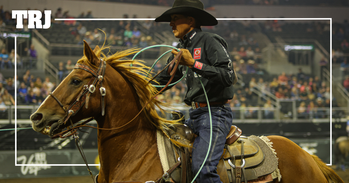 The Head & Heel Horses of the 2023 Cinch Playoffs Governor's Cup - The ...