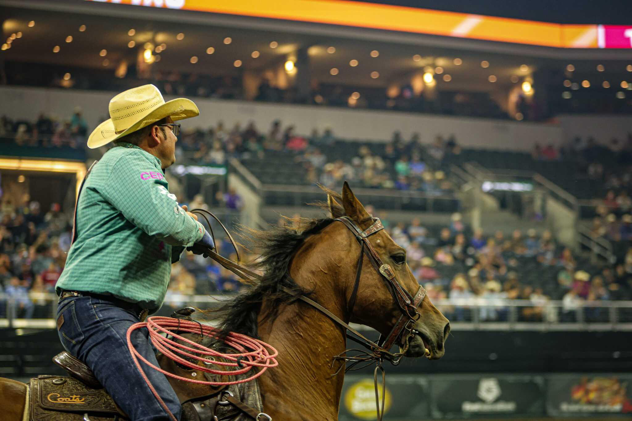 The Head & Heel Horses of the 2023 Cinch Playoffs Governor's Cup - The ...