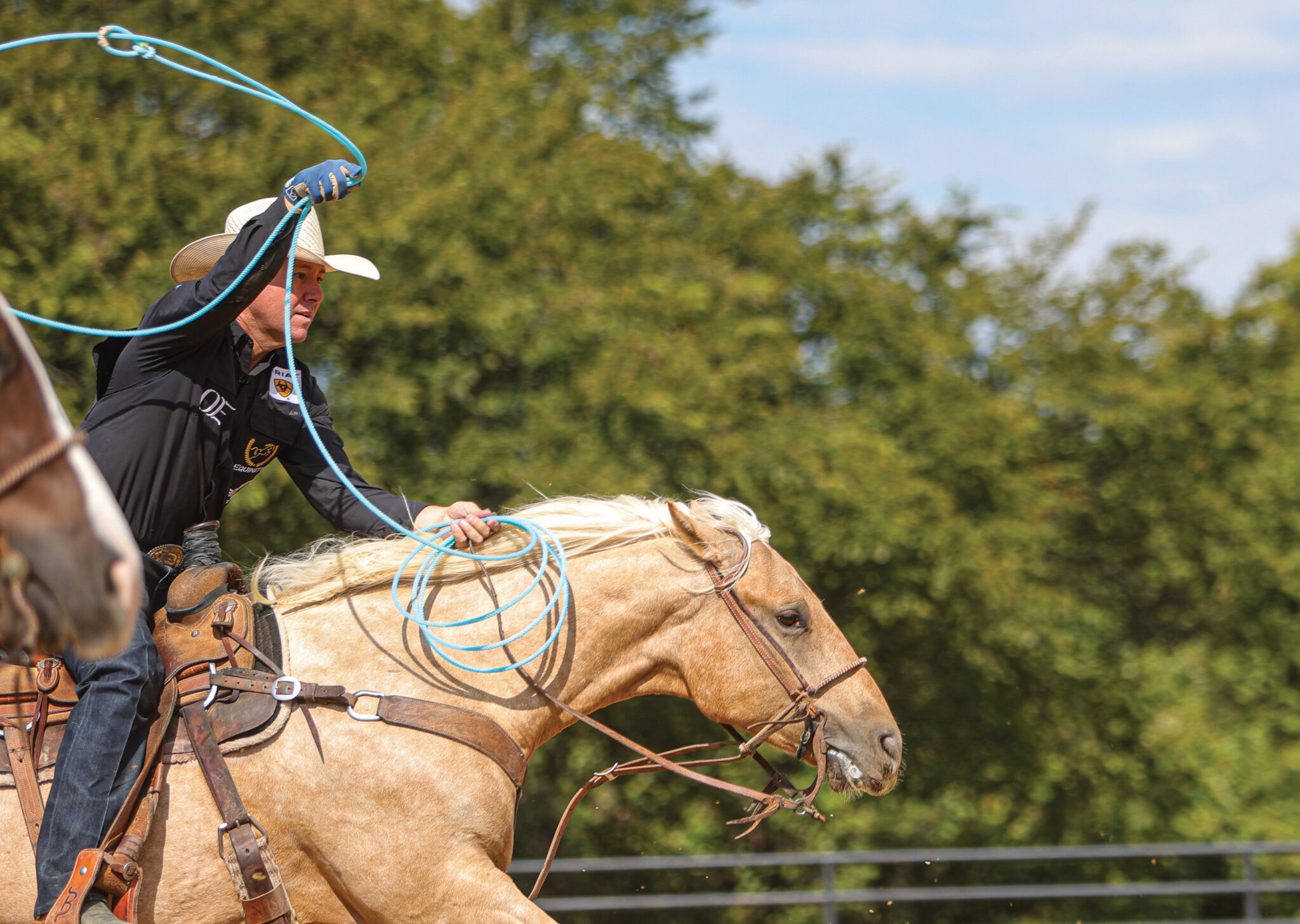 The Magnetic Draw to Cattle - The Team Roping Journal