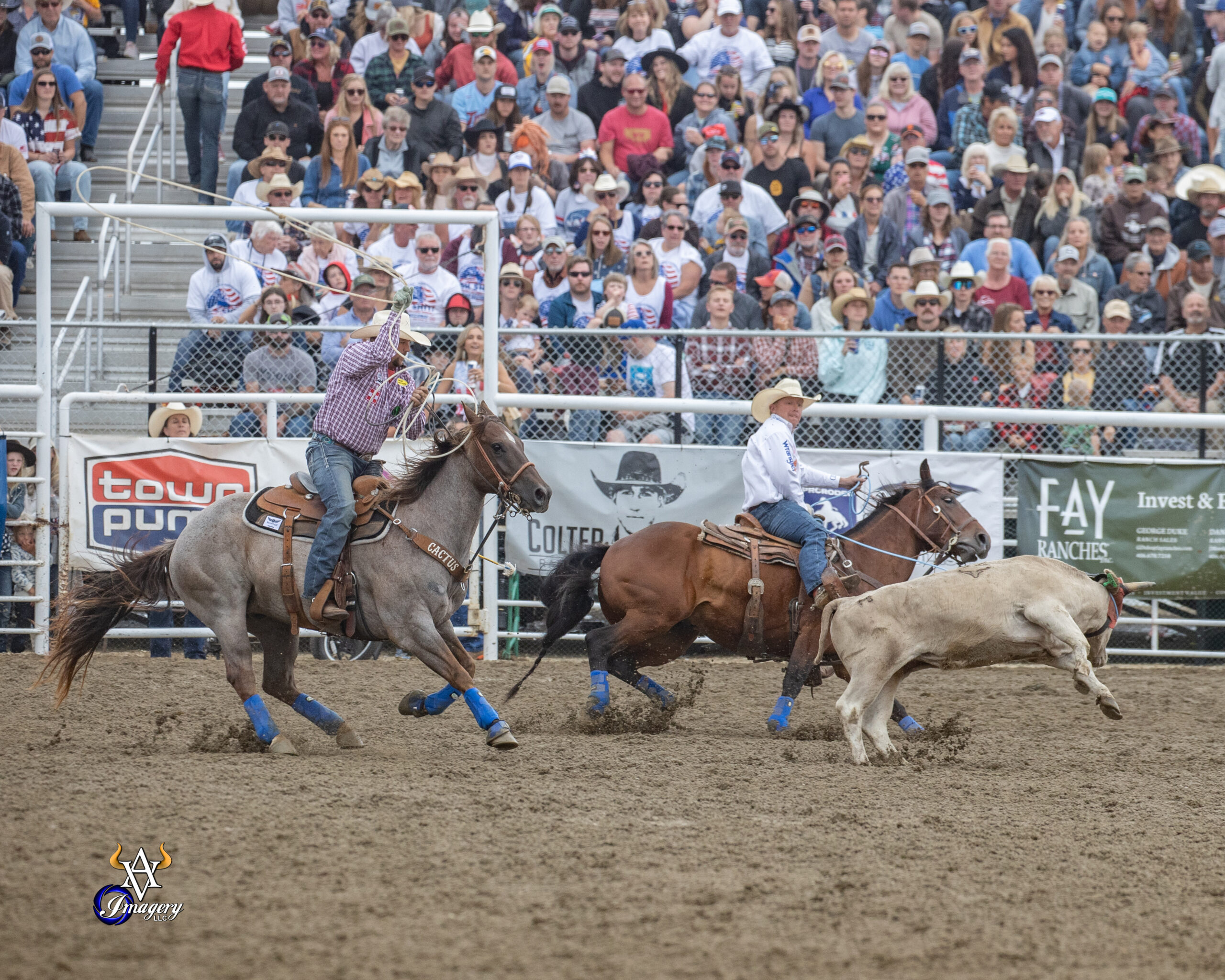 Clint Summers turning a steer for Jake Long at Red Lodge, Montana.