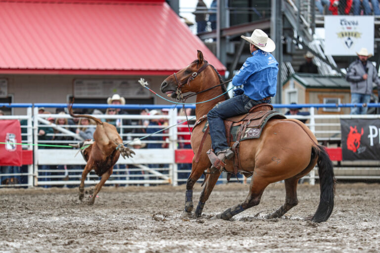 Patrick Smith heeling steer Cody Wyoming Rodeo