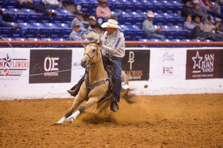 Futurity head horse billie jack saebens